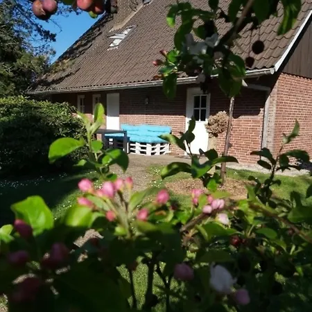 Altes Land Bei Hamburg An Der Elbe *